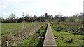 Wybunbury - Boardwalk at eastern end of Wybunbury Moss