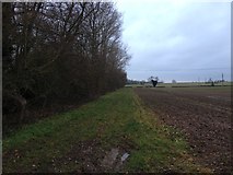 SK7111 : Leicestershire Round towards Ashby Folville by Dave Thompson