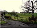 Rough lane, Kilnahusogue