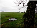 H5055 : Puddle in a field, Kilnahusogue by Kenneth  Allen