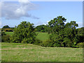 Farmland near Ravensmoor in Cheshire