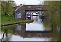 Seven Dwellings Bridge and the Stourbridge Canal