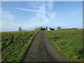 Track (footpath) near Temple Farm