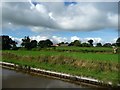 SJ5344 : Llangollen Canal towpath, above [south of] Povey's Lock by Christine Johnstone