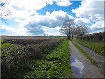 SO8222 : Farm road, Sandhurst by Richard Webb