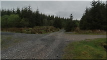 G0402 : Forest cross roads SE of Birreen Corrough Beg by Colin Park