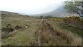 G0704 : View NE along part of the Keenagh Loop Path, Co Mayo by Colin Park