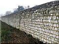 Chalk Cob Wall