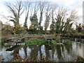 Tree reflections at Dobbs Weir