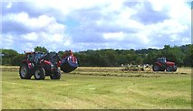 SY9899 : Hay cutting at Bear Mead nature reserve by Derek Voller