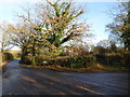 Junction of Prings Lane with Burnt House Lane