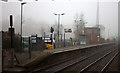 Misty morning at Gomshall station.