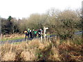 Llwybr Cilmaenllwyd / Cilmaenllwyd Path