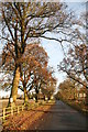 Road through Aswarby Park