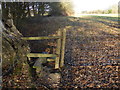 TQ1727 : Footpath goes north from stile by Shazz