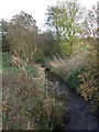 The River Soar near Sharnford