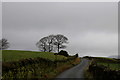 Moor Lane on Miles Hill