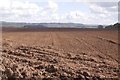 Seedbed near Clive