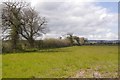 Field, Croxton Green