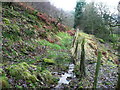 Wadsworth FP66 along the edge of the moorland