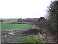 Crop field and hedgerow