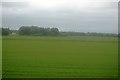 TL3847 : Flat farmland by N Chadwick