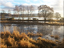NH5447 : River Beauly from the footpath along its northern bank by Julian Paren