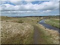 NS6326 : River Ayr Way by Richard Webb
