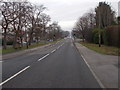 Hookstone Chase - viewed from Woodlands Walk