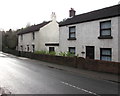 White houses in the south of Drybrook