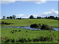 Pasture and pools north-west of Audlem, Cheshire