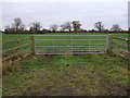 Field entrance off Colleys Lane