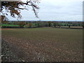 Young crop field near Ridley Hill Farm