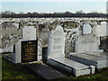 The Federation Jewish Cemetery, Rainham