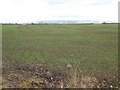 Arable field at Claydon