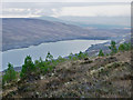NH3270 : New forestry planting above Loch Glascarnoch by Julian Paren