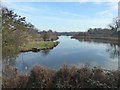 Berwick Pond