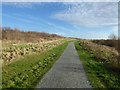 The path up Ingrebourne Hill