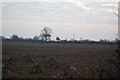 Field near Elm Farm