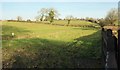 Field near Ashbridge House