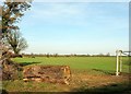 Field near Alderton