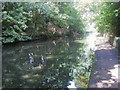 Grand Union Canal Walk