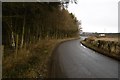 Yellow road near Tibbermore