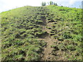 Steep way up the mound of Waytemore Castle