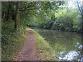 Grand Union Canal Walk