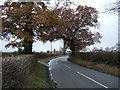 Bend in Ryecroft Lane