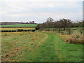 Field edge near Wykey