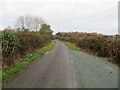 Hedged country lane with passing place near Boreatton Park