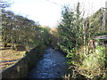 Stream, Peel Bank