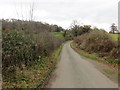 SJ5928 : Road to Bank Farm by Peter Wood